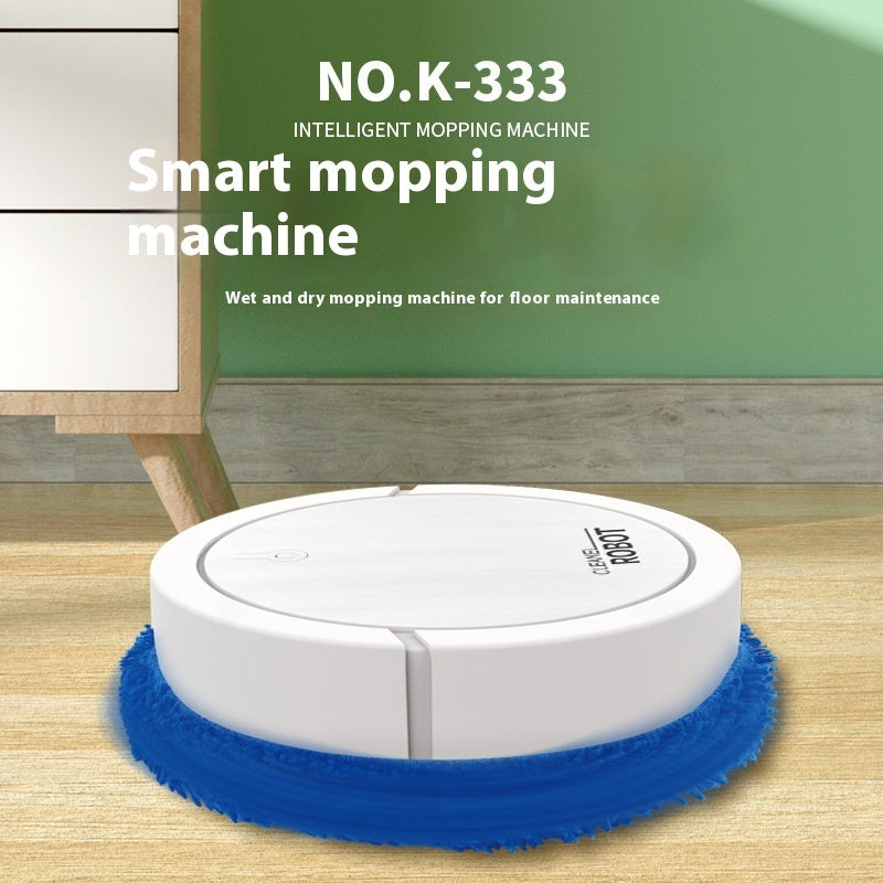 Wet And Dry Sweeping Robot